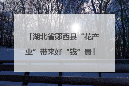 湖北省郧西县“花产业”带来好“钱”景