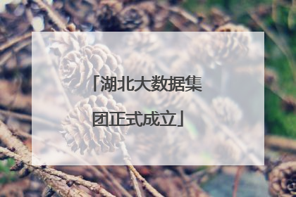 湖北大数据集团正式成立