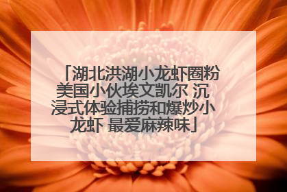 湖北洪湖小龙虾圈粉美国小伙埃文凯尔 沉浸式体验捕捞和爆炒小龙虾 最爱麻辣味