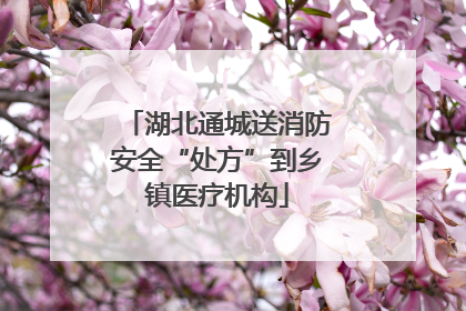 湖北通城送消防安全“处方”到乡镇医疗机构
