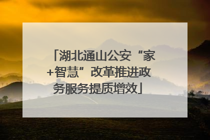 湖北通山公安“家+智慧”改革推进政务服务提质增效