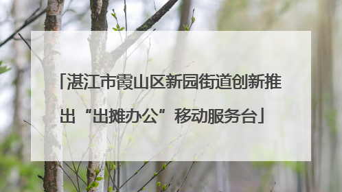 湛江市霞山区新园街道创新推出“出摊办公”移动服务台