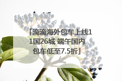 滴滴海外包车上线11国26城 端午国内包车低至7.5折