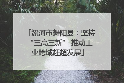漯河市舞阳县：坚持“三高三新” 推动工业跨域赶超发展