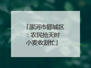 漯河市郾城区：农民抢天时 小麦收割忙
