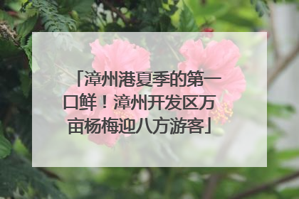 漳州港夏季的第一口鲜！漳州开发区万亩杨梅迎八方游客