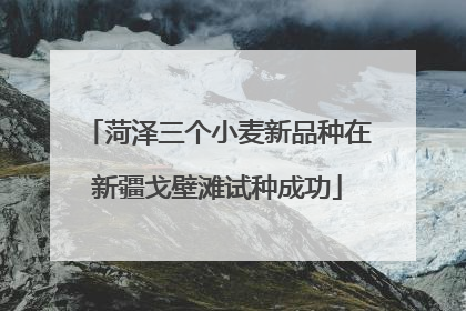 菏泽三个小麦新品种在新疆戈壁滩试种成功