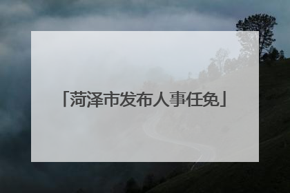 菏泽市发布人事任免