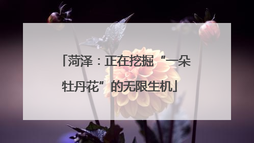菏泽：正在挖掘“一朵牡丹花”的无限生机