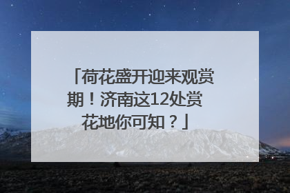 荷花盛开迎来观赏期！济南这12处赏花地你可知？
