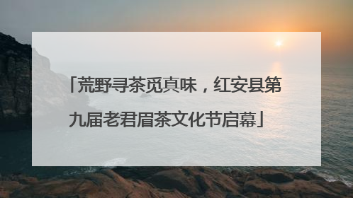 荒野寻茶觅真味，红安县第九届老君眉茶文化节启幕