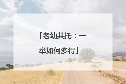 老幼共托：一举如何多得