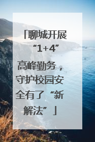 聊城开展“1+4”高峰勤务，守护校园安全有了“新解法”