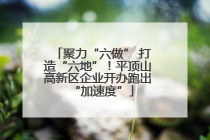 聚力“六做” 打造“六地”！平顶山高新区企业开办跑出“加速度”