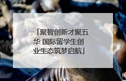 聚智创新才聚五华 国际留学生创业生态筑梦启航