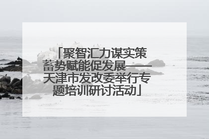 聚智汇力谋实策 蓄势赋能促发展——天津市发改委举行专题培训研讨活动