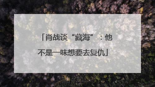肖战谈“藏海”：他不是一味想要去复仇