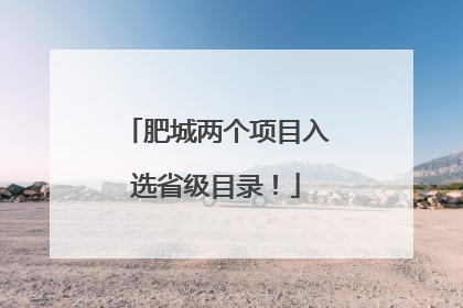 肥城两个项目入选省级目录！