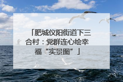 肥城仪阳街道下三合村：党群连心绘幸福“实景图”