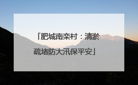肥城南栾村：清淤疏堵防大汛保平安