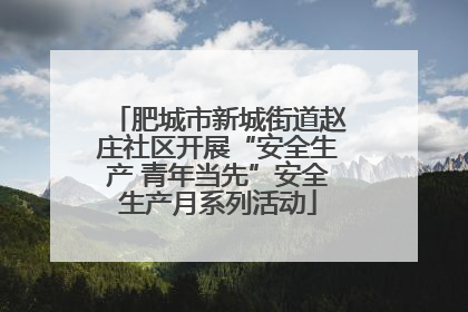 肥城市新城街道赵庄社区开展“安全生产 青年当先”安全生产月系列活动