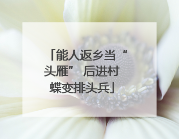 能人返乡当“头雁” 后进村蝶变排头兵