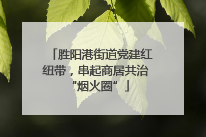 胜阳港街道党建红纽带，串起商居共治 “烟火圈”