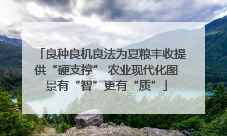 良种良机良法为夏粮丰收提供“硬支撑” 农业现代化图景有“智”更有“质”