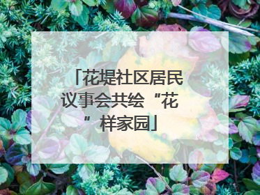 花堤社区居民议事会共绘“花”样家园