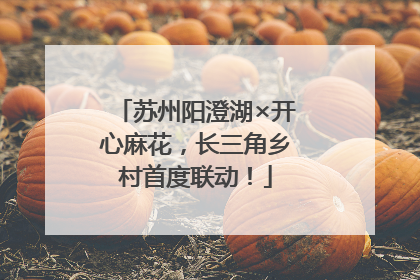 苏州阳澄湖×开心麻花，长三角乡村首度联动！