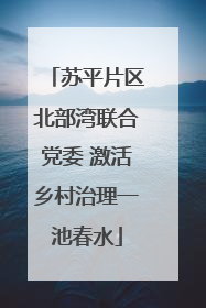 苏平片区北部湾联合党委 激活乡村治理一池春水