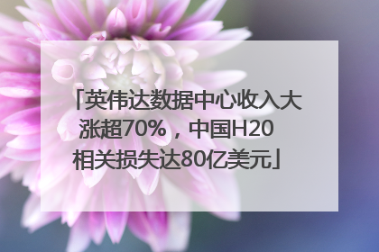 英伟达数据中心收入大涨超70%，中国H20相关损失达80亿美元