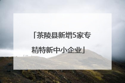 茶陵县新增5家专精特新中小企业