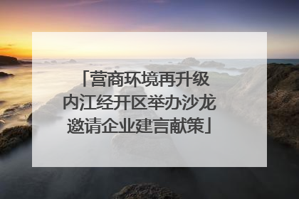 营商环境再升级 内江经开区举办沙龙邀请企业建言献策