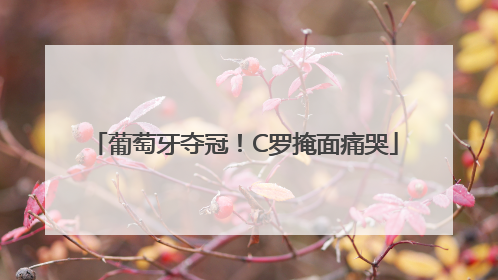 葡萄牙夺冠！C罗掩面痛哭