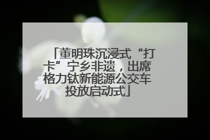 董明珠沉浸式“打卡”宁乡非遗，出席格力钛新能源公交车投放启动式