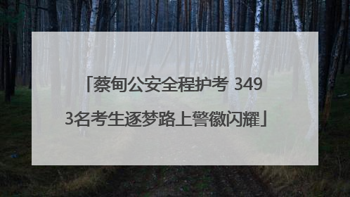 蔡甸公安全程护考 3493名考生逐梦路上警徽闪耀