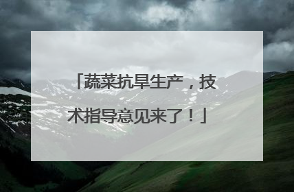 蔬菜抗旱生产，技术指导意见来了！