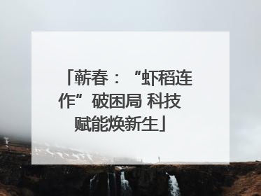 蕲春：“虾稻连作”破困局 科技赋能焕新生
