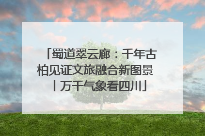 蜀道翠云廊：千年古柏见证文旅融合新图景丨万千气象看四川
