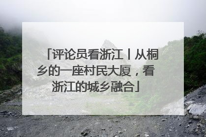 评论员看浙江丨从桐乡的一座村民大厦，看浙江的城乡融合