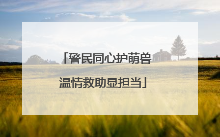 警民同心护萌兽 温情救助显担当