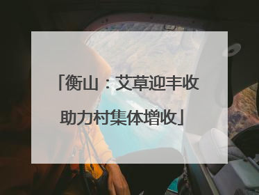衡山：艾草迎丰收 助力村集体增收
