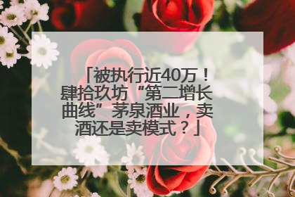 被执行近40万！肆拾玖坊“第二增长曲线”茅泉酒业，卖酒还是卖模式？