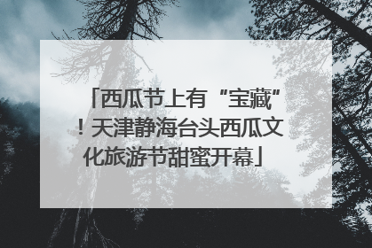 西瓜节上有“宝藏”！天津静海台头西瓜文化旅游节甜蜜开幕