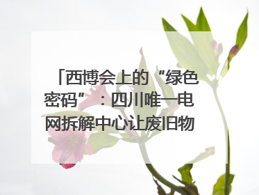 西博会上的“绿色密码”：四川唯一电网拆解中心让废旧物资“重生”｜西博寻“新”记
