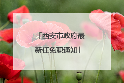西安市政府最新任免职通知