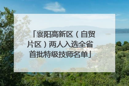 襄阳高新区（自贸片区）两人入选全省首批特级技师名单