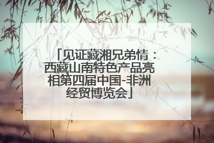见证藏湘兄弟情：西藏山南特色产品亮相第四届中国-非洲经贸博览会