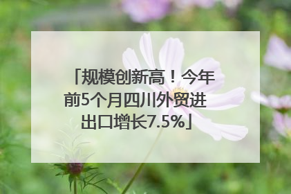 规模创新高！今年前5个月四川外贸进出口增长7.5%